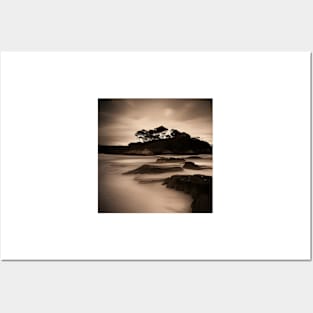 Victorian Coastal landscape Tree Photo Posters and Art